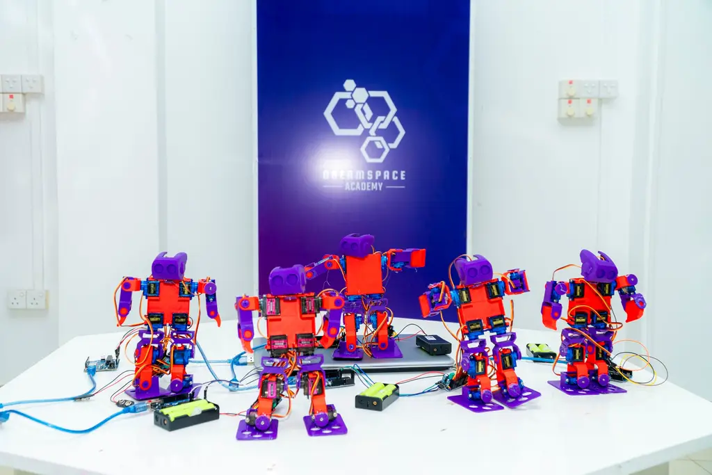 Build a Robot workshops, Batticaloa, 2025-07-10.
